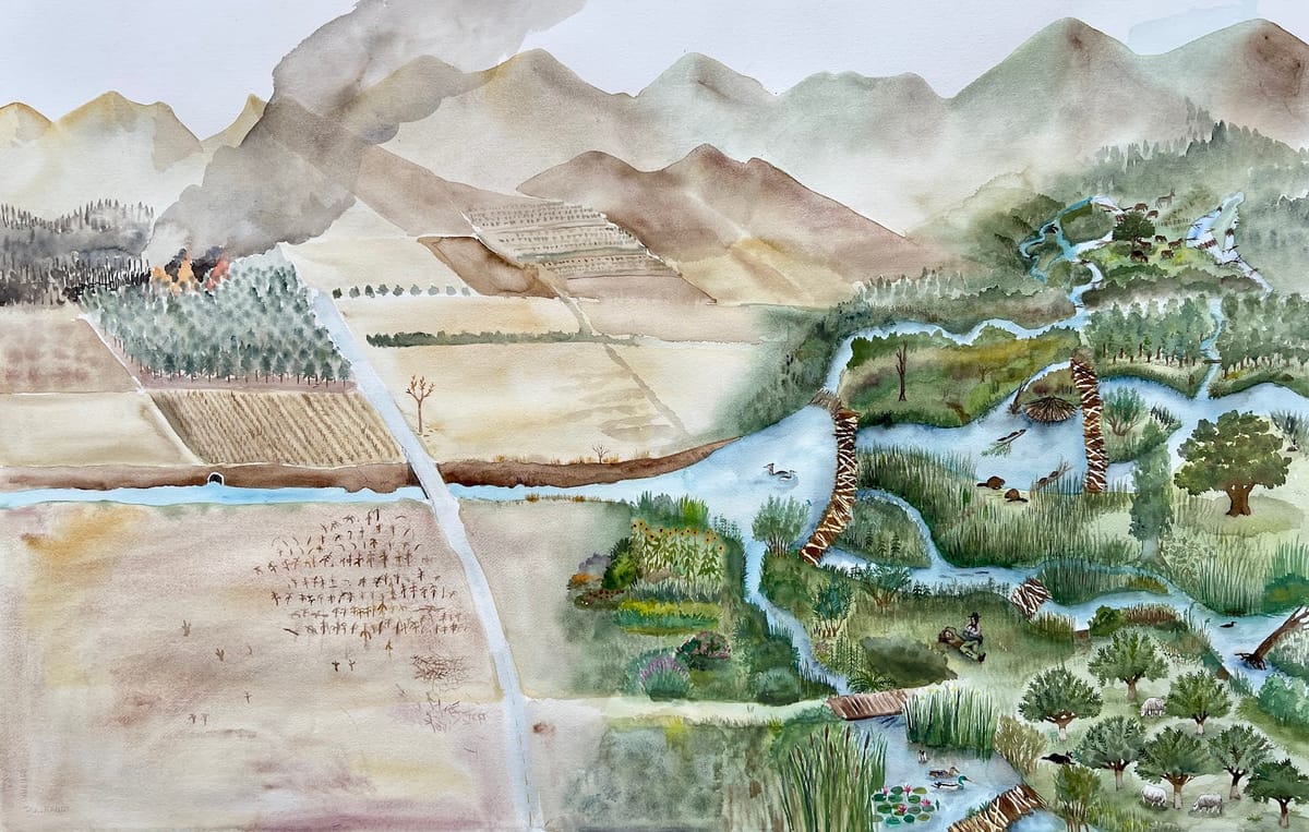 Médecine Castor, Suzanne Husky — Rouillé