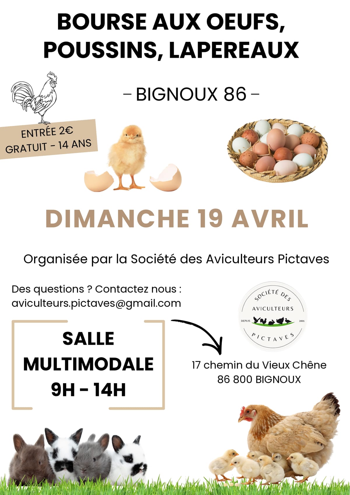 Bourse : oeufs, poussins, lapereaux — Bignoux