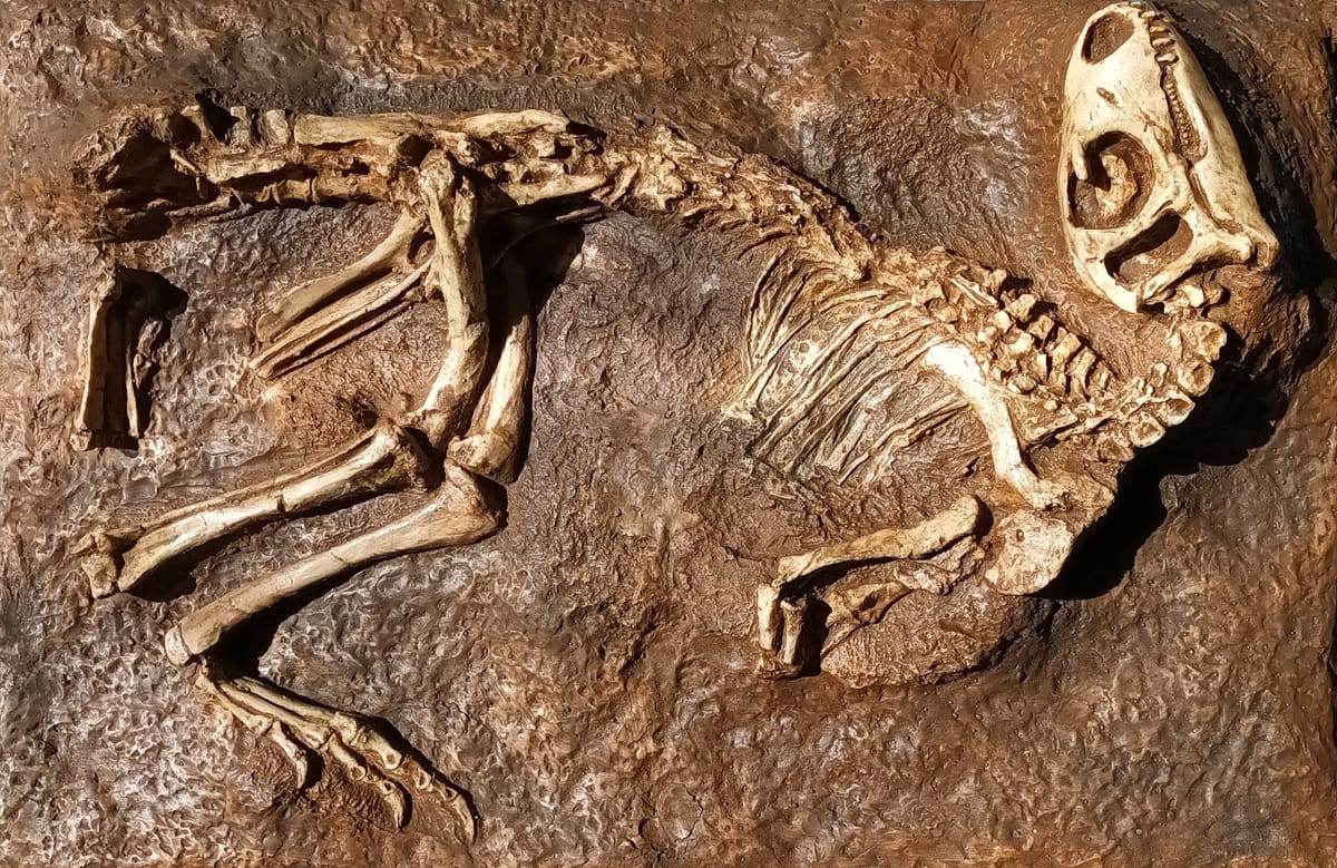 Le secret des dinosaures — Poitiers