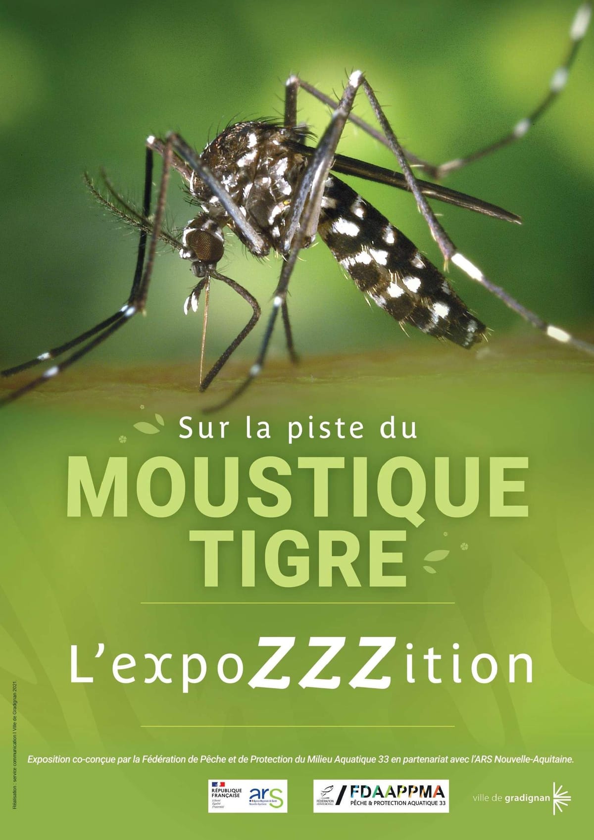 Sur la piste du moustique tigre — Vouillé