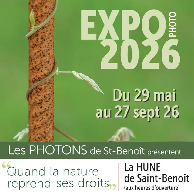 Quand la nature reprend ses droits — Saint-Benoit
