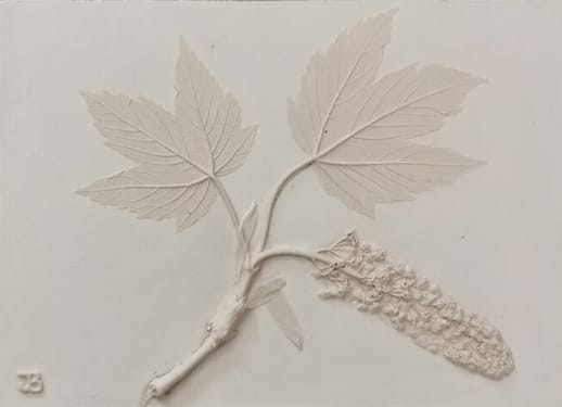 Empruntes naturalistes — Chauvigny