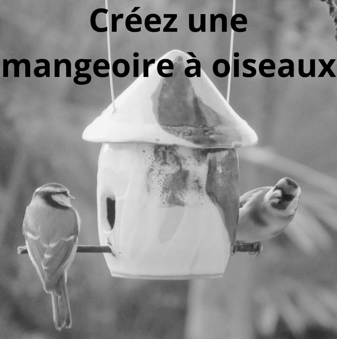 Céramique tournage & modelage CLP86 — Poitiers