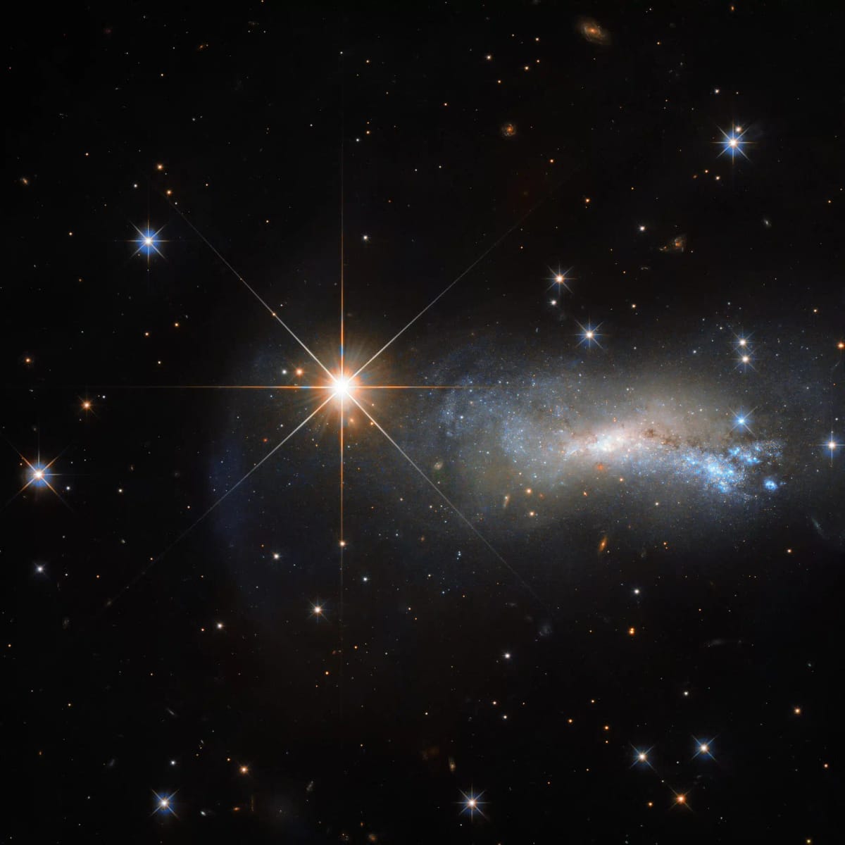 Quelle est cette constellation ? — Poitiers