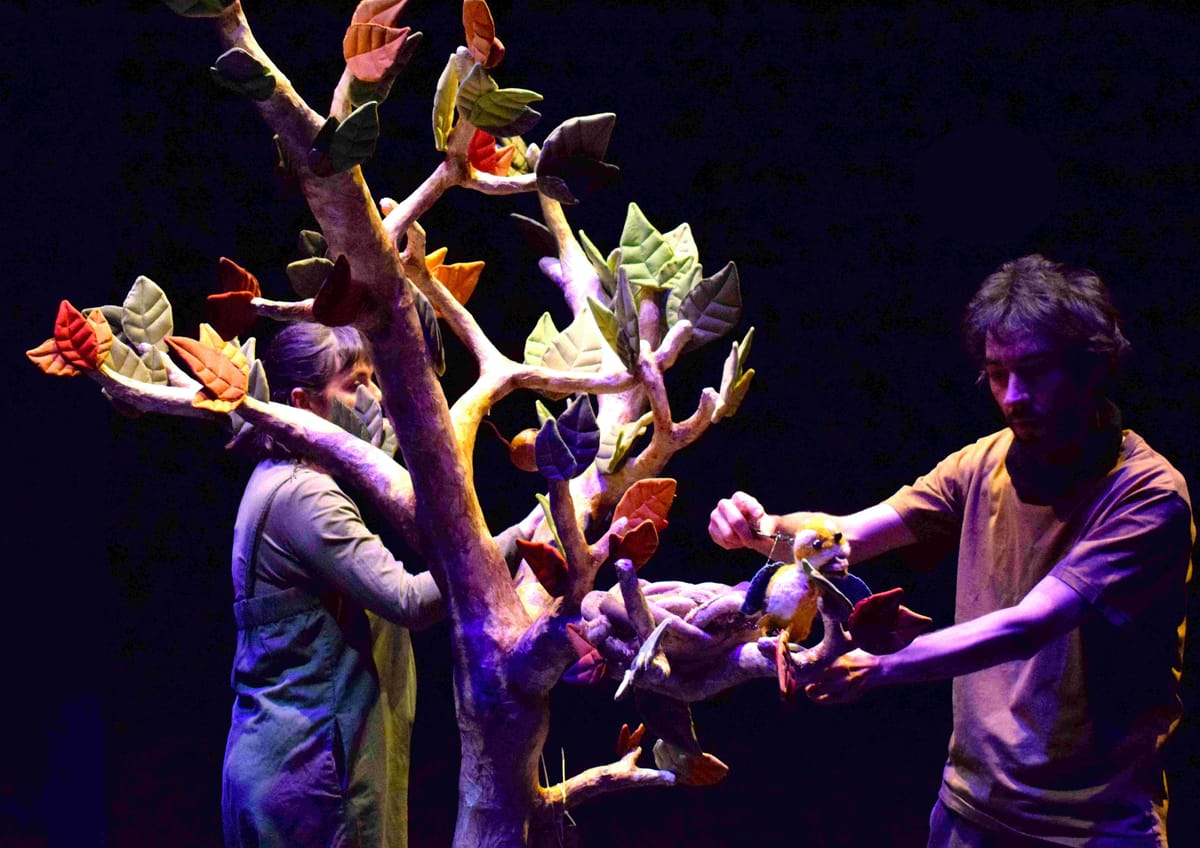 Spectacle « Le Premier Envol » — Civaux