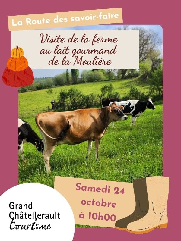Lait Gourmand de la Moulière — Bonneuil-Matours