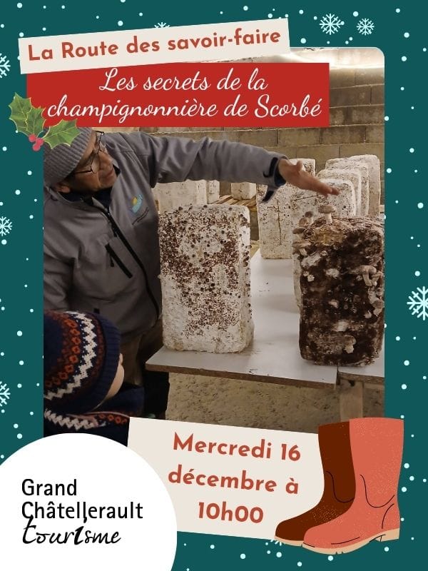Les secrets de la champignonnière — Scorbé-Clairvaux