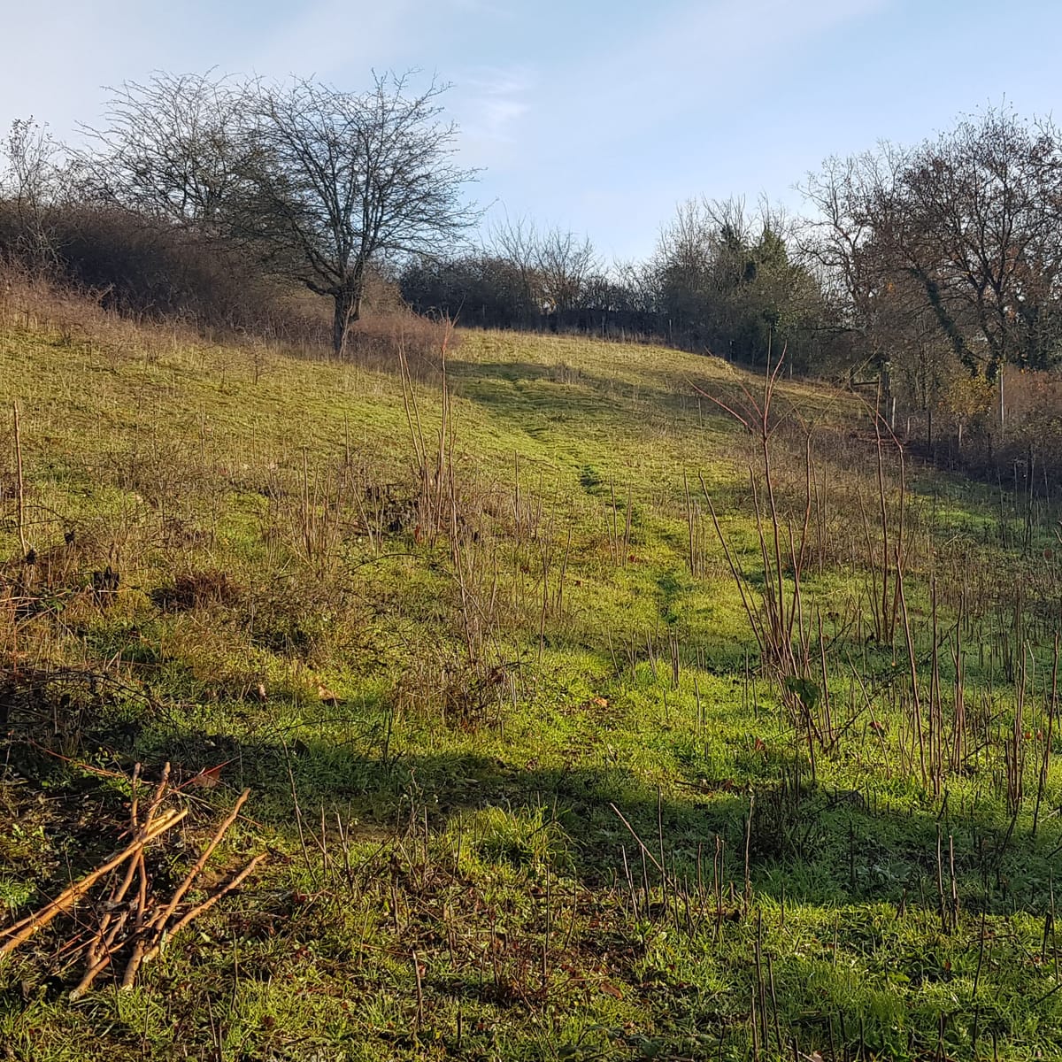 Chantier nature à l’Arrault — Lussac-les-Chateaux