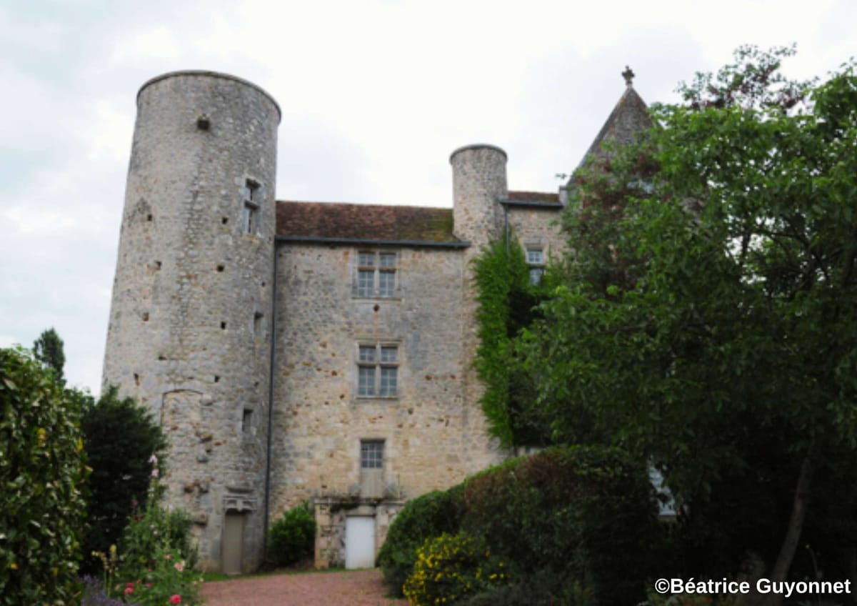Le Château de la Mothe à Persac, en — Persac