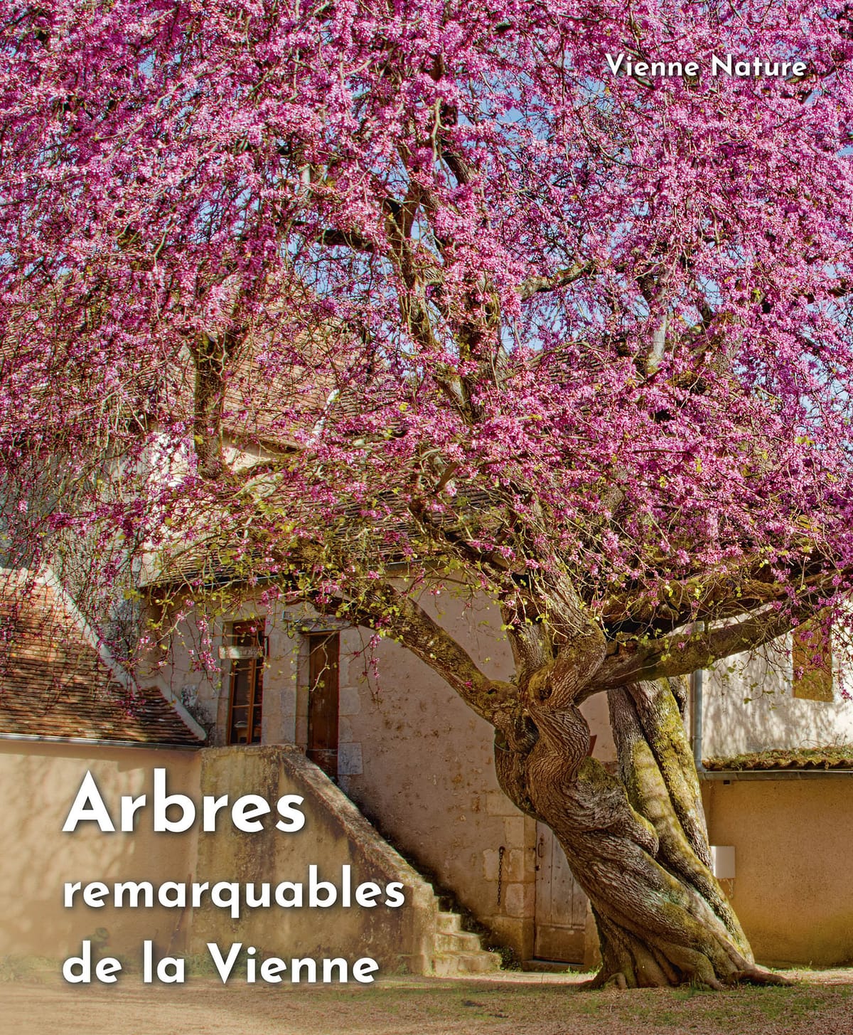 Arbres remarquables de la Vienne — Nieuil L'espoir