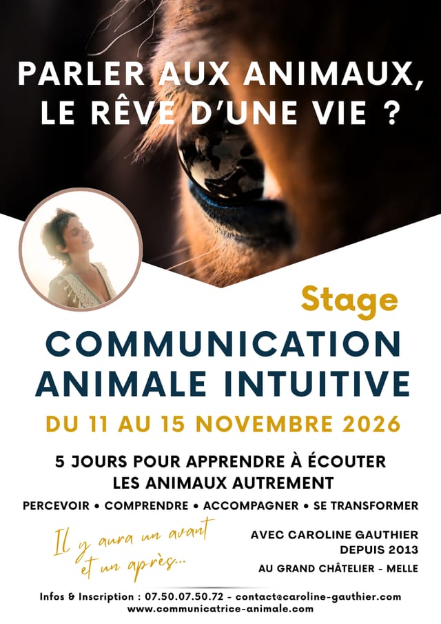 Communication Animale Intuitive — Melle