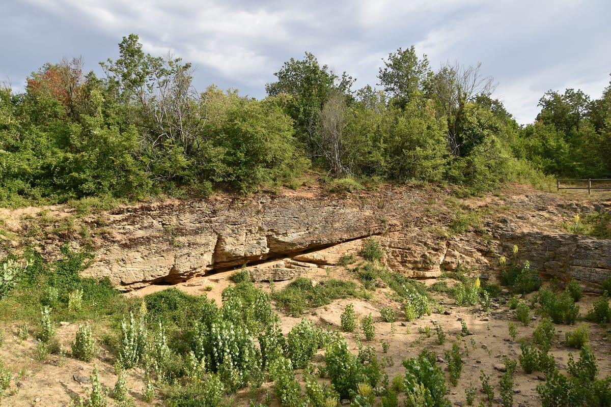 Chantier nature : la mer des Faluns — Amberre