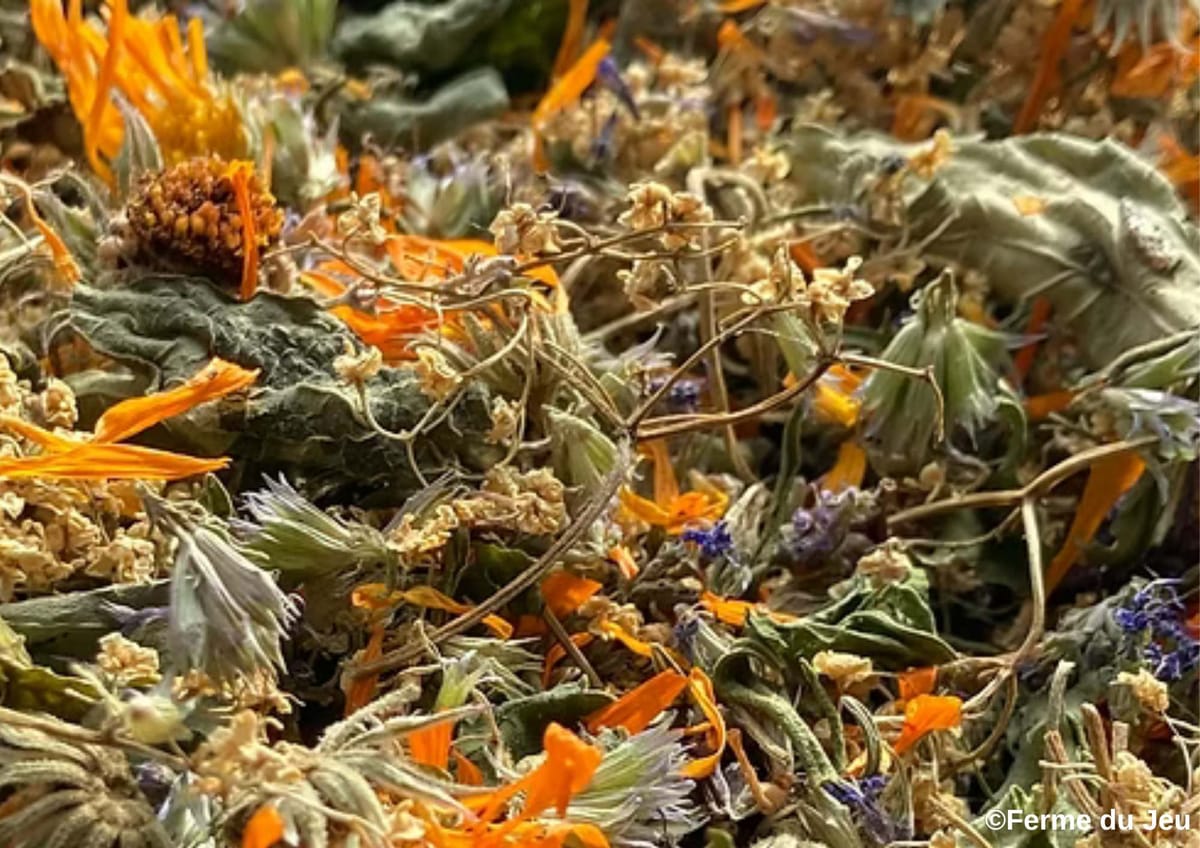 Plantes et savoir-faire à Plaisance — Plaisance