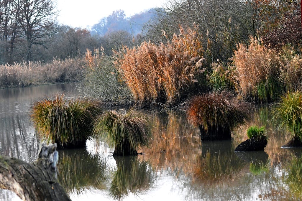 La biodiversité à tous les étages — Saulgé