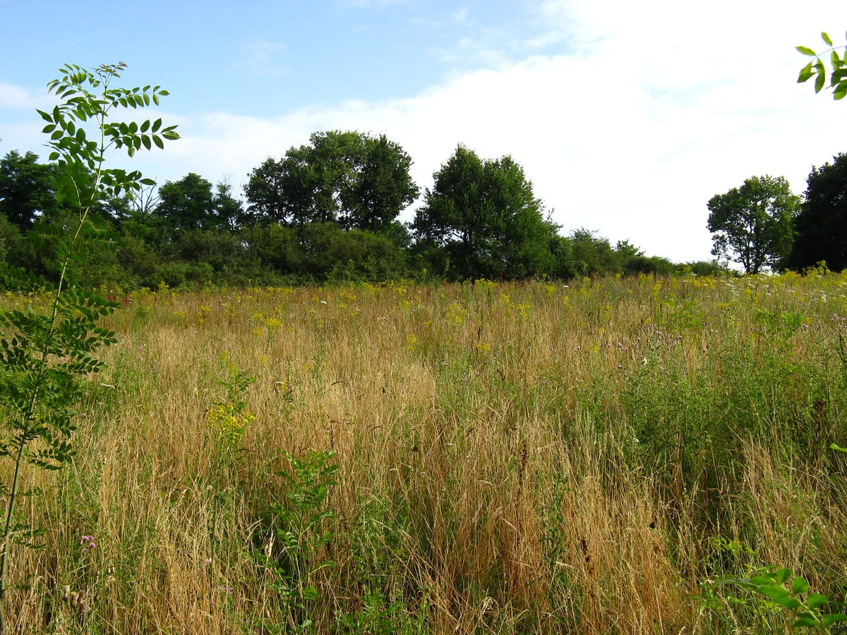 La biodiversité en automne — Béruges