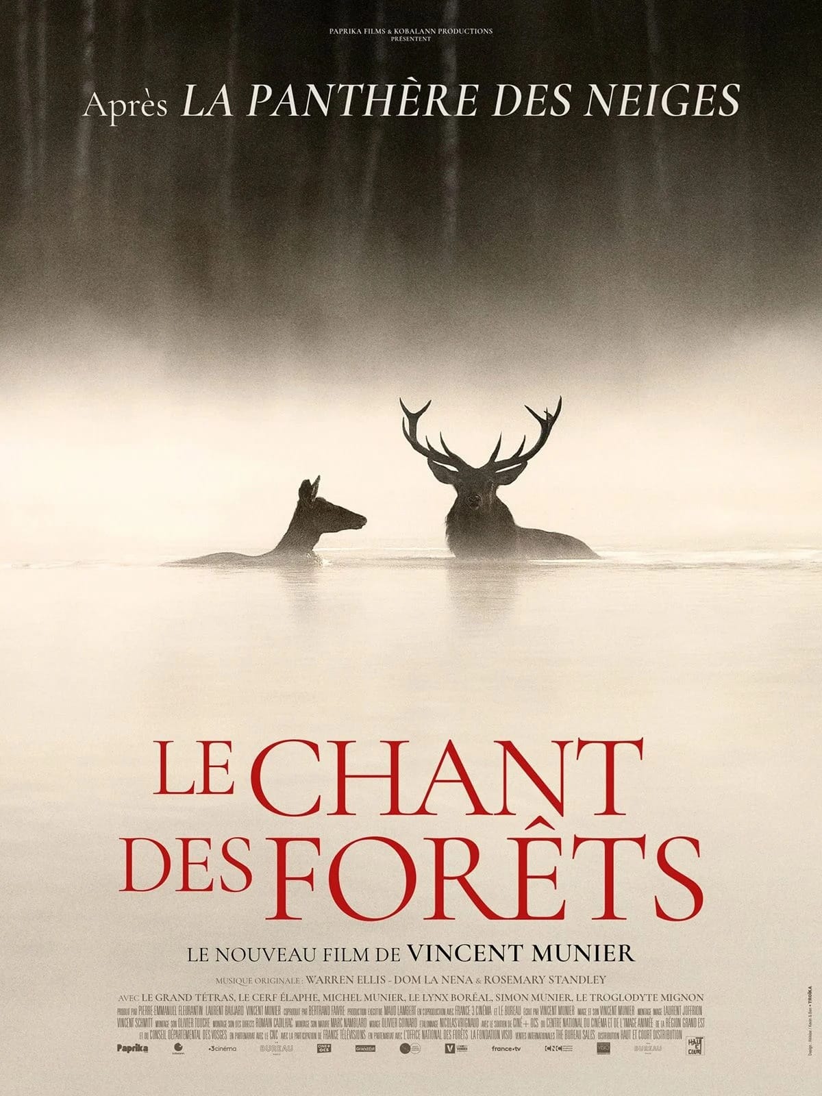 Film "Le chant des forêt" — Montmorillon