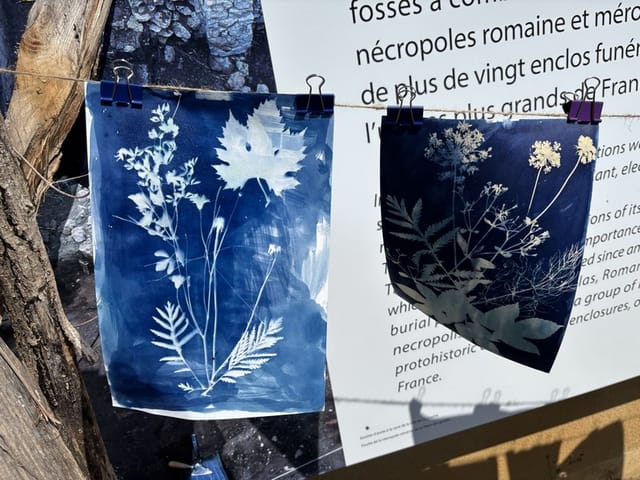 Atelier « Cyanotype » — Civaux