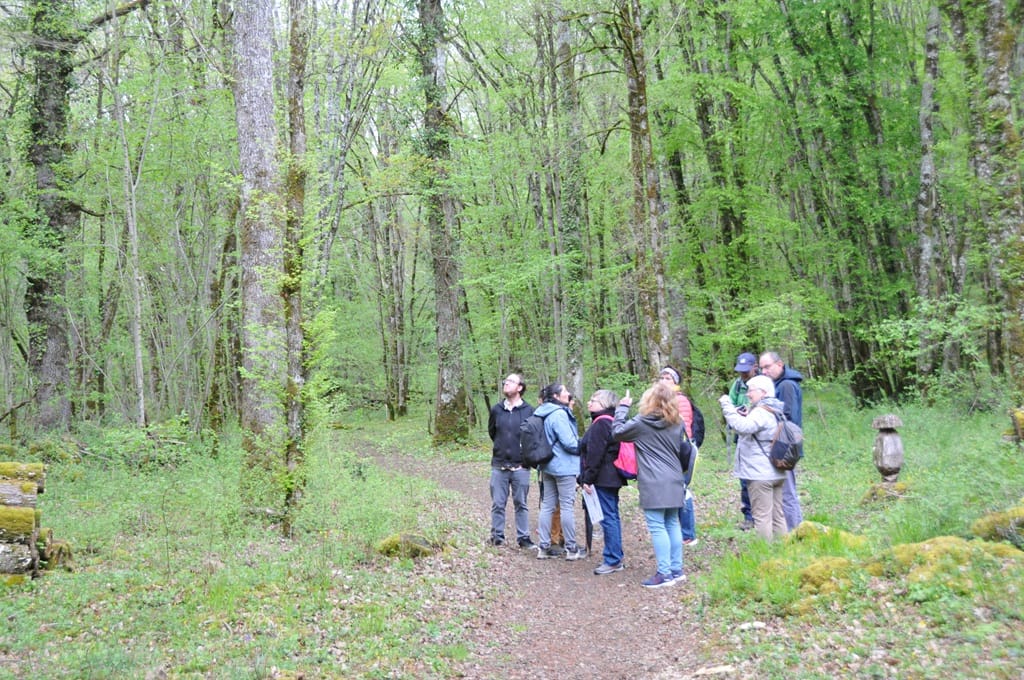 Balade nture "Au fil des chemins" — Saint-Germain
