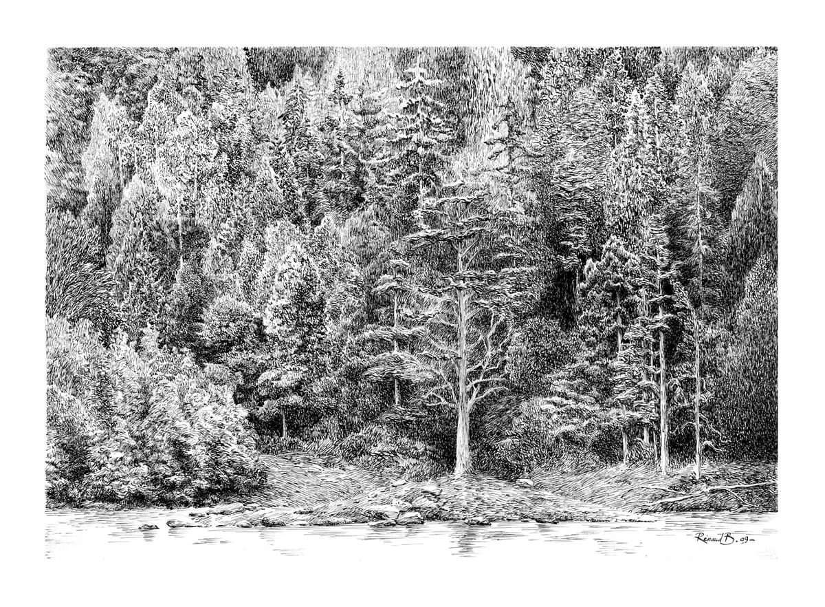 Forêts dessinées — Saint-Benoît