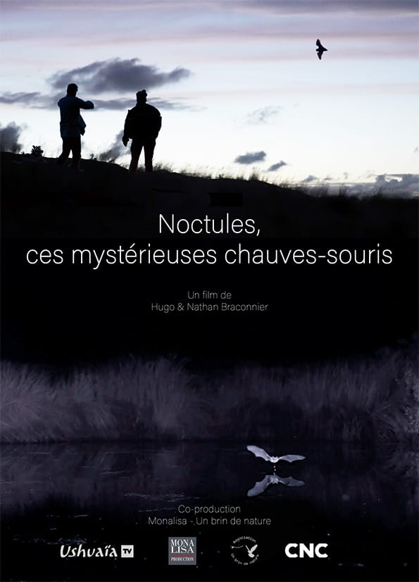 Projection du film Noctules... — Anché